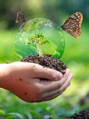 Sustainability newsletter v1